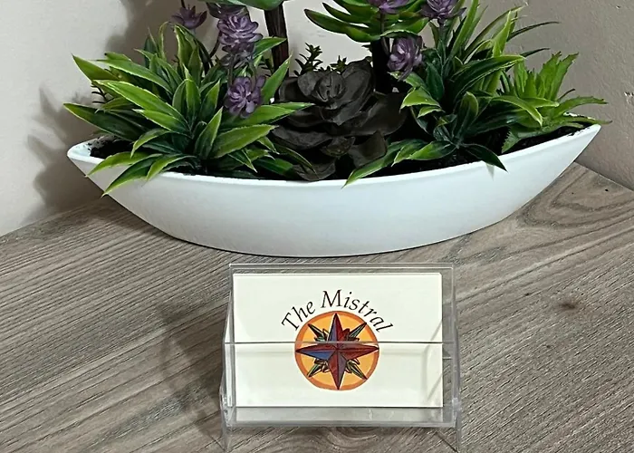 The Mistral 3* 希拉